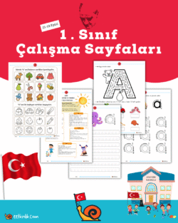 1. Sınıf Eylül Ayı 2.Hafta(15-19 Eylül) Çalışma Sayfaları